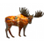Moose - Standing
