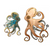 Octopus - Swimming