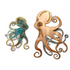 Octopus - Swimming
