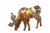 Moose - Grazing