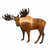 Moose - Standing