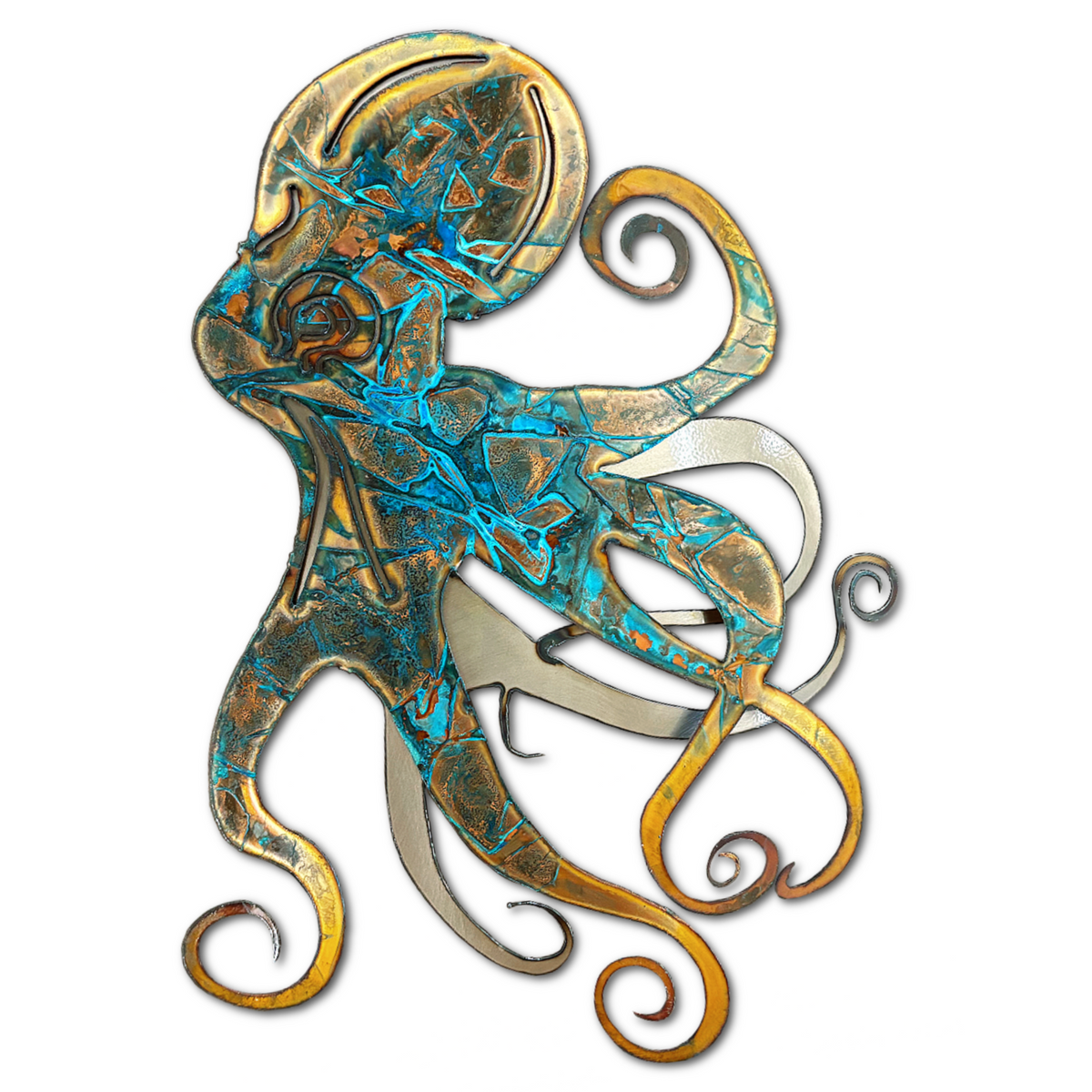 Octopus - Swimming – Copper River USA by Studio G7