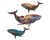 Whale - Humpback