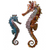 Sea Horse