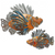 Lionfish