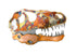 T-Rex Skull
