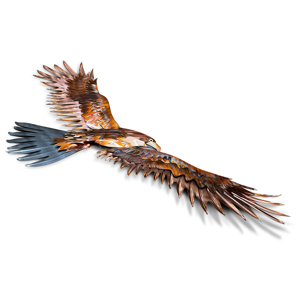 Eagle Soaring – Copper River USA by Studio G7